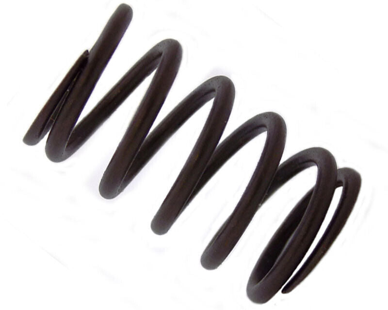 Honda GX140 GX160 GX200 Aftermarket Valve Spring x 2 (One Pair)