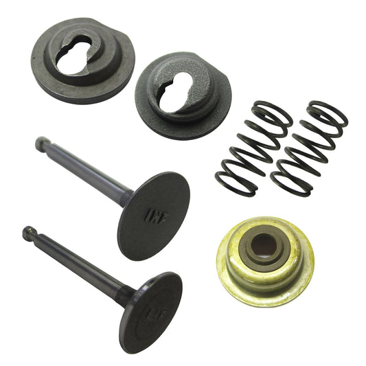 Honda Compatible GX160 GX200 Service Kit- Inlet, Exhaust Valves, Valve Collets, Stem Seal, Valve Spring Replacement Set